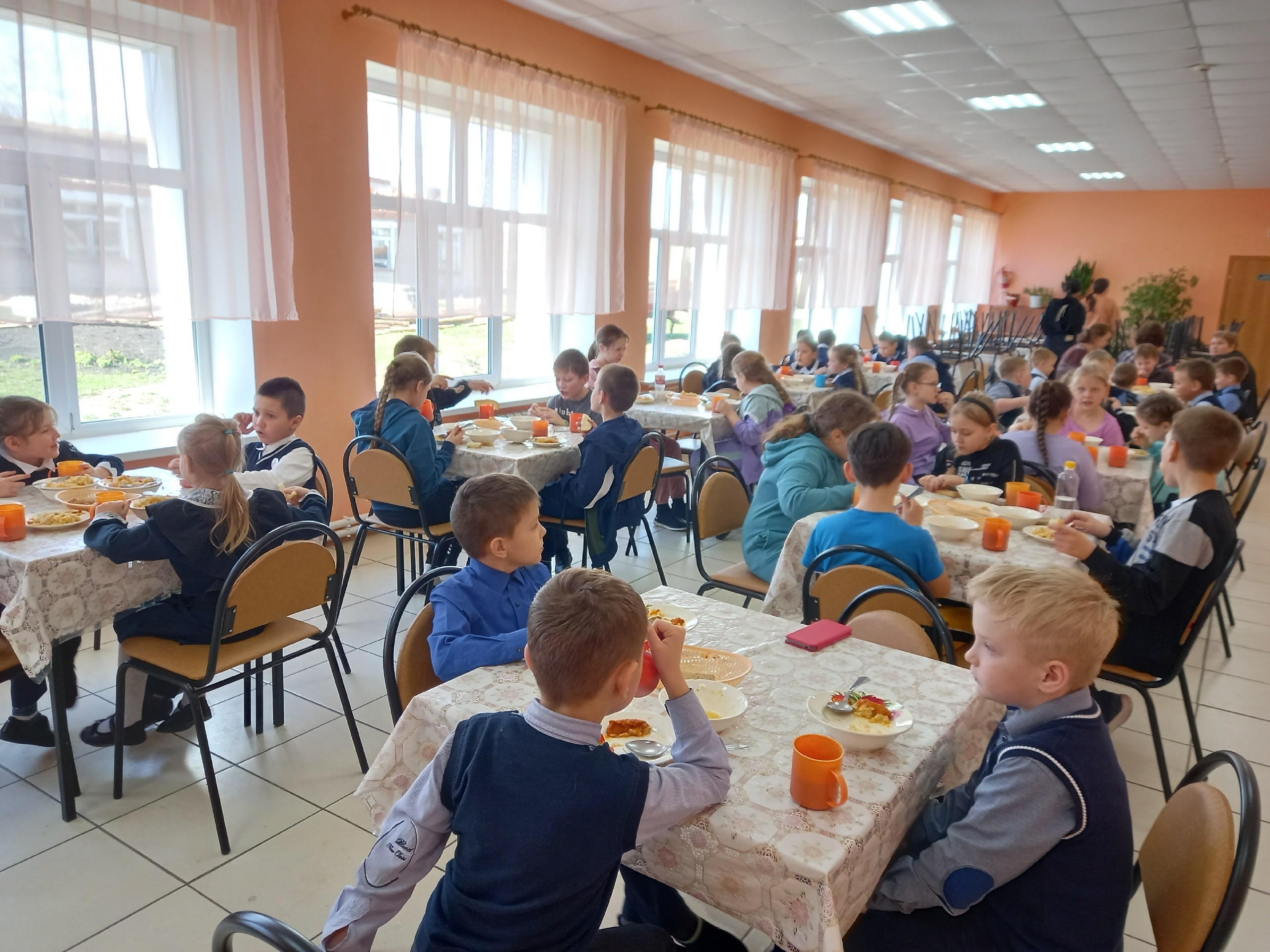 Родительский контроль за качеством питания.